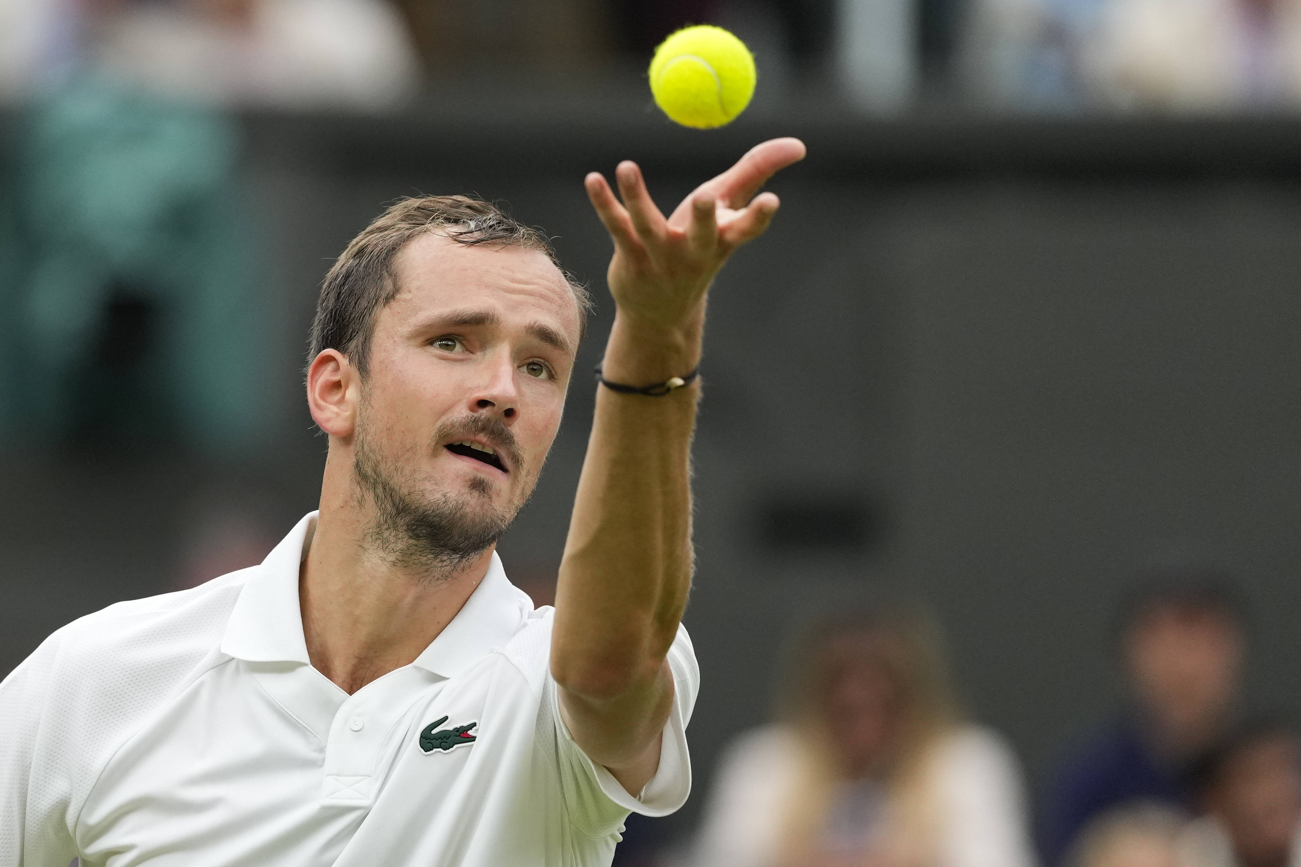 澳大利亚网球队血洗西班牙网球队，梅德韦杰夫惊艳世界的简单介绍