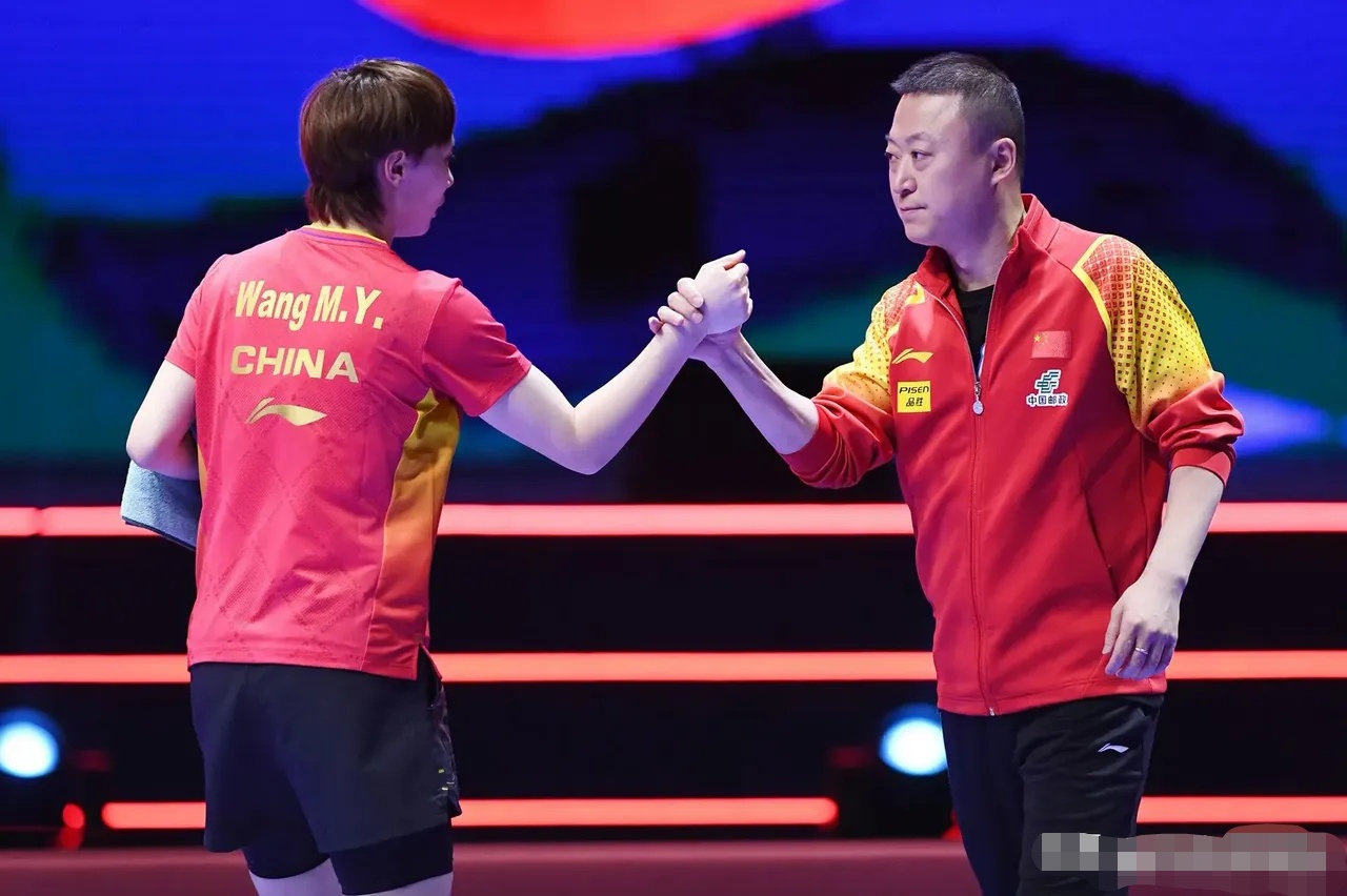 九游娱乐官方-法国队绝杀印度队，马琳高光表现的简单介绍