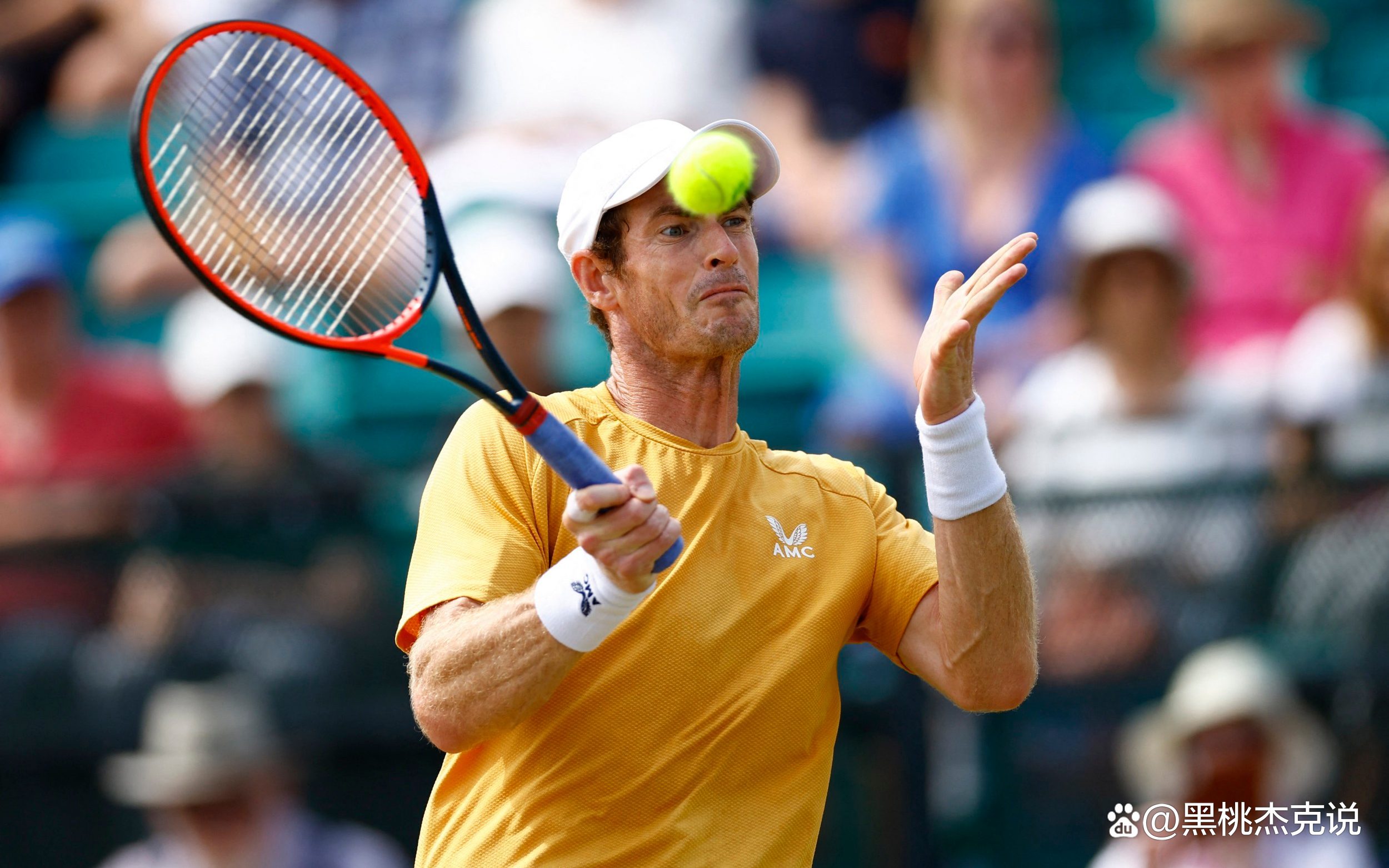 包含戴维斯杯力克温网，穆雷点燃赛场的词条