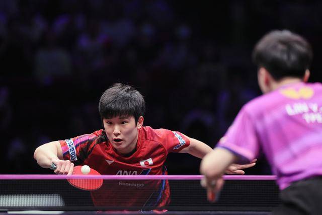 德国队力克葡萄牙队，张本智和状态火热的简单介绍