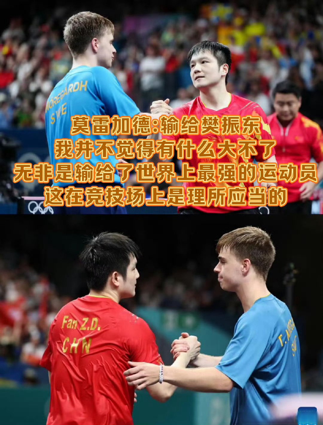 法国队险胜日本队,樊振东扛起全队 法国队险胜日本队,樊振东扛起全队