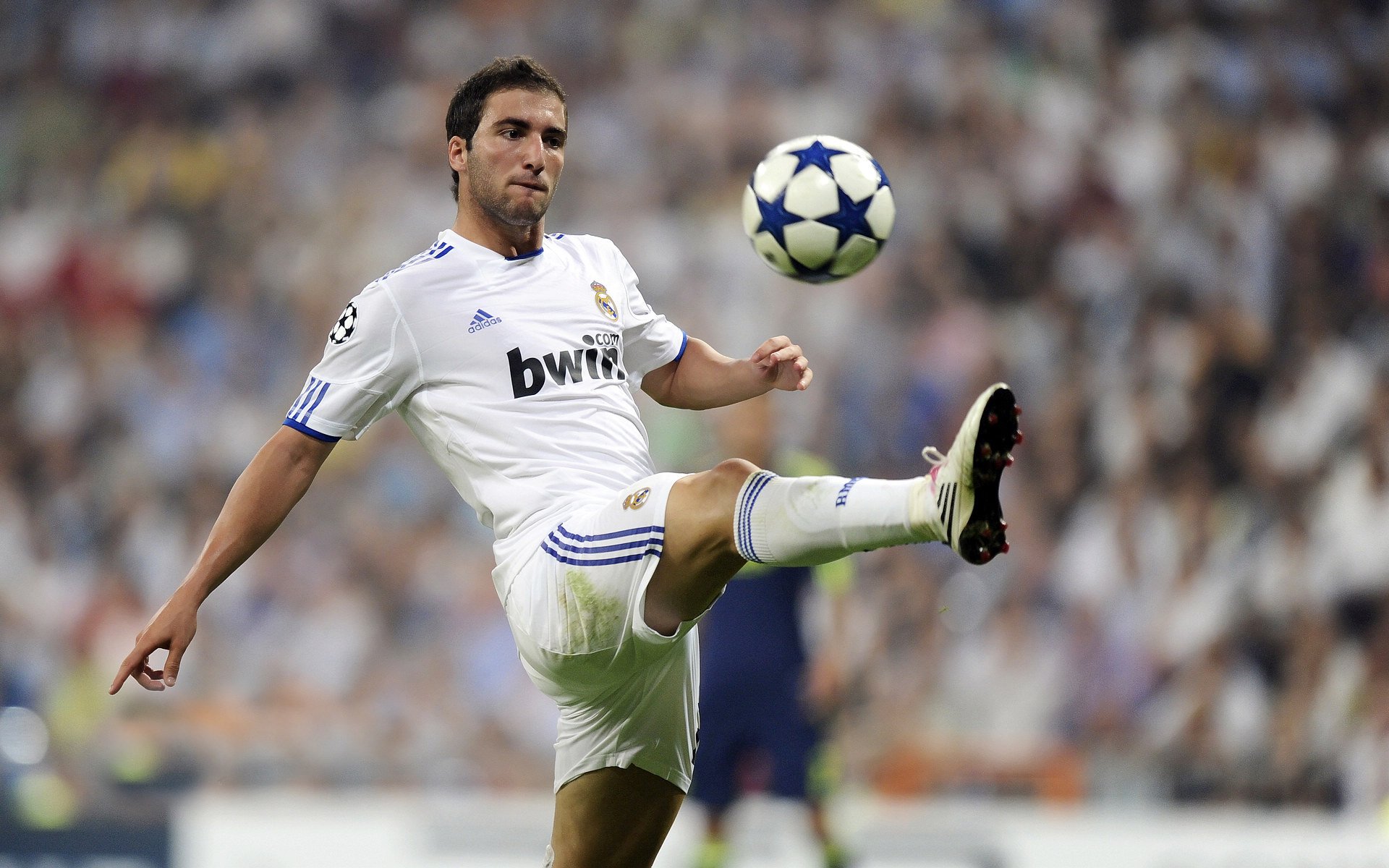 突尼斯对阵摩洛哥，戈麦斯惊艳四座的北非足球盛宴