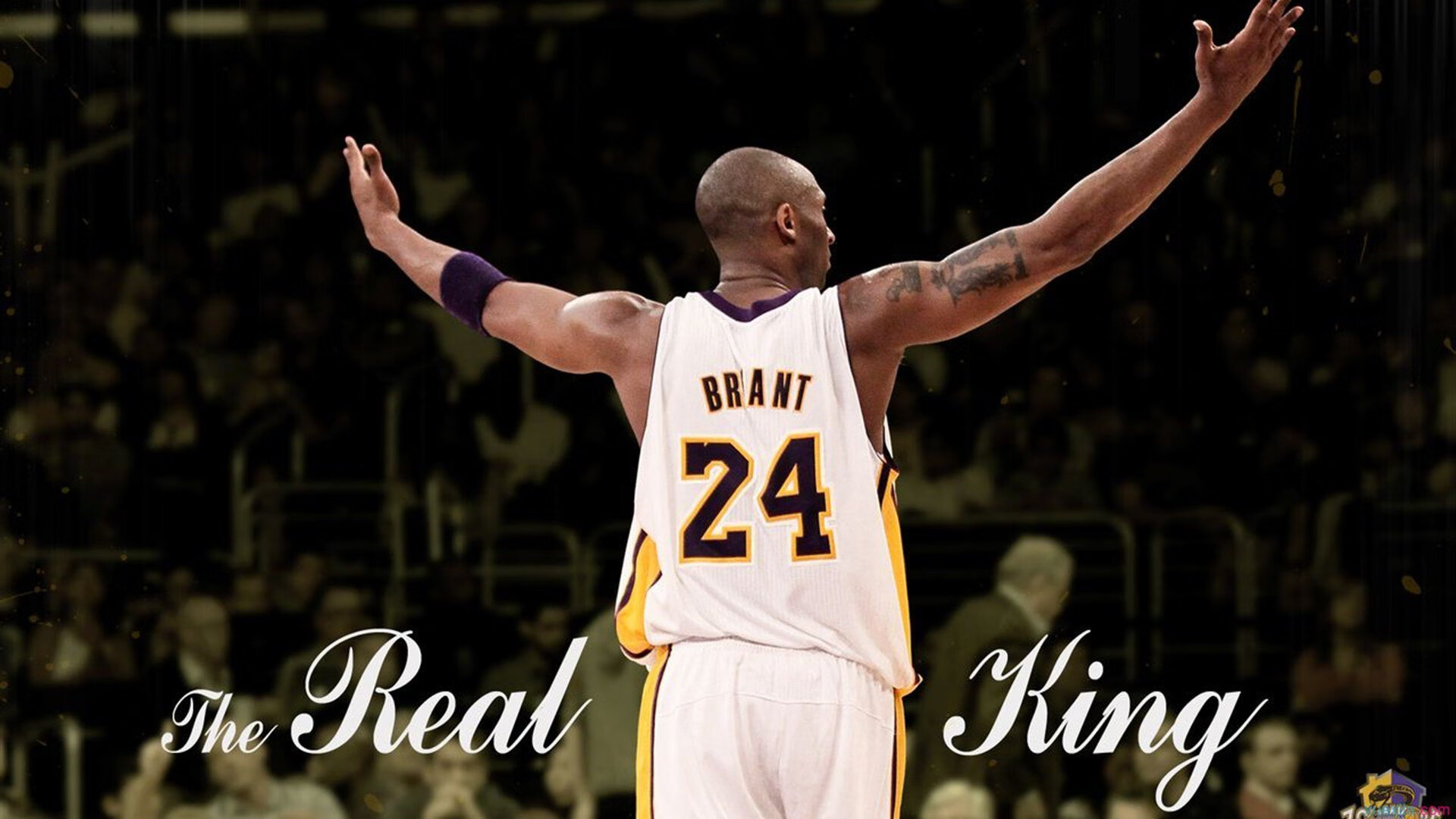 九游VIP-克莱·汤普森全场最佳无争议，上海队展现惊人压制力击败凯尔特人